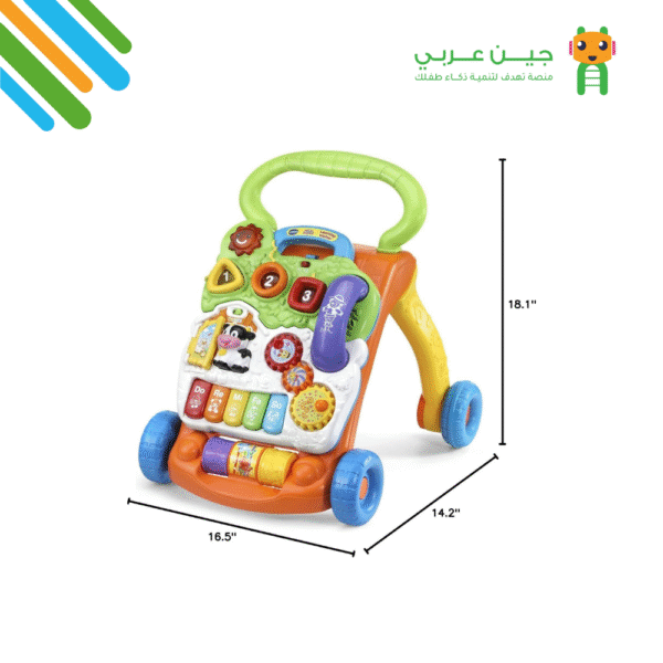 ⁦مشاية التعلّم المبكر⁩ - الصورة ⁦3⁩